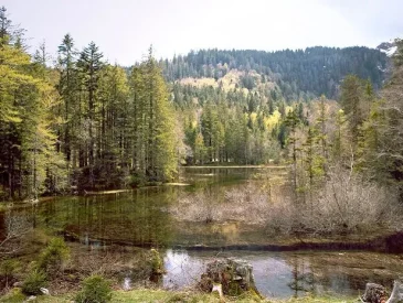 Camping in Germany