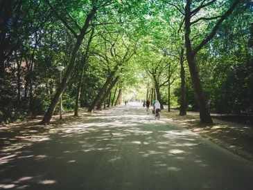 The Best Green Spaces and Parks in Amsterdam