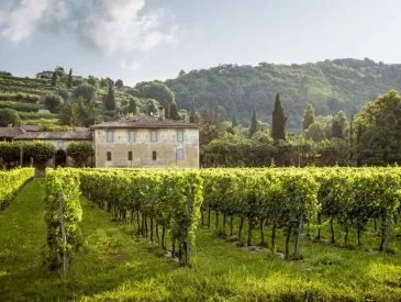 5 Must-Experience French Chateau Breaks