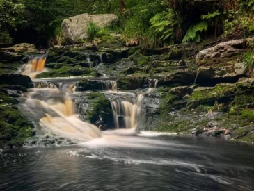 Romantic Ferry-Accessible Hiking Trails along Belgium’s Coast
