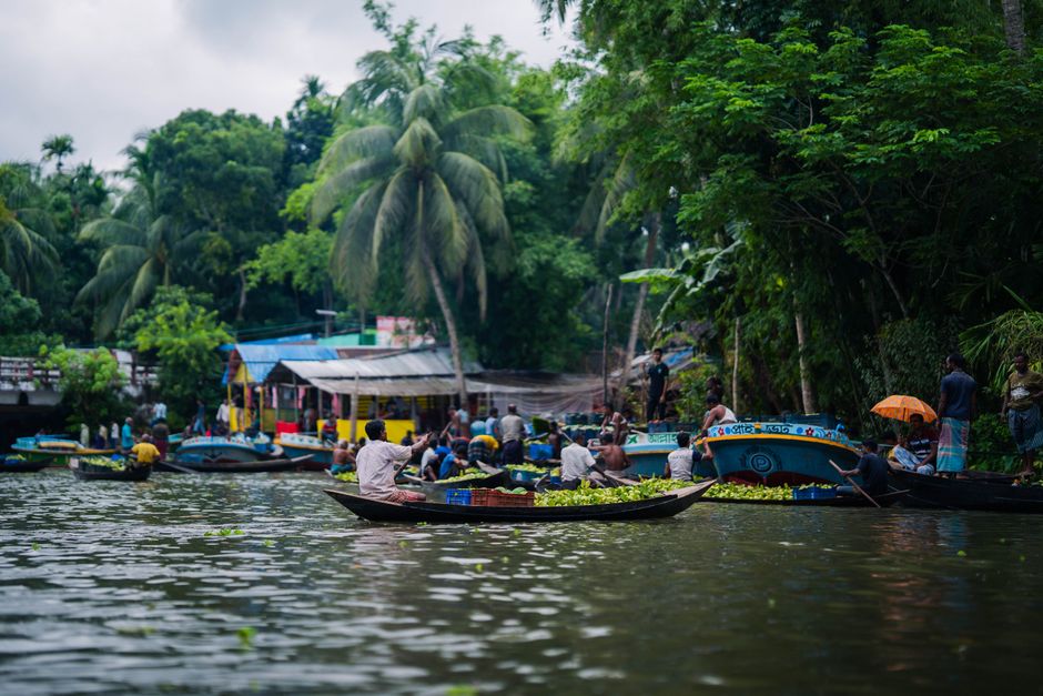 Explore the bustling life and lush greenery of a floating market in Bangladesh's Rajshahi Division.