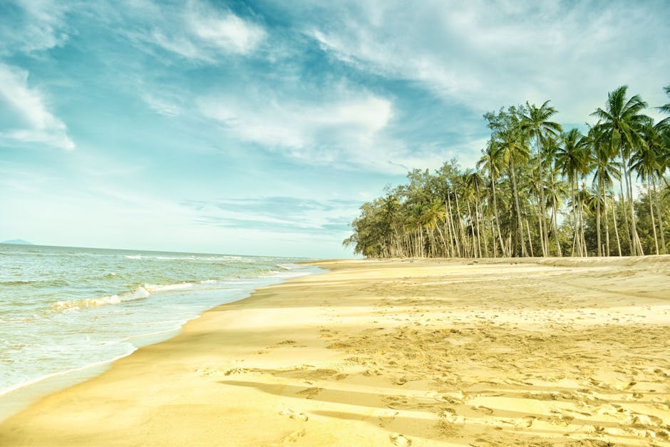 Scenic tropical beach with palm trees, waves, and blue sky. Relaxing and serene ocean view.