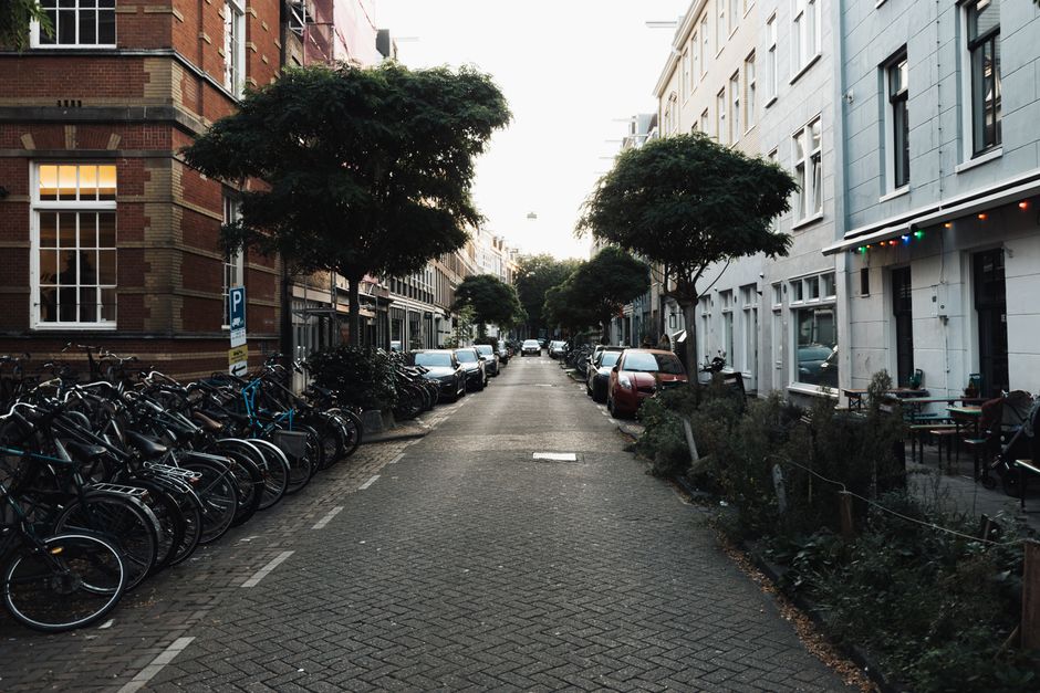 Bicycles parked along a tree-lined Dutch street