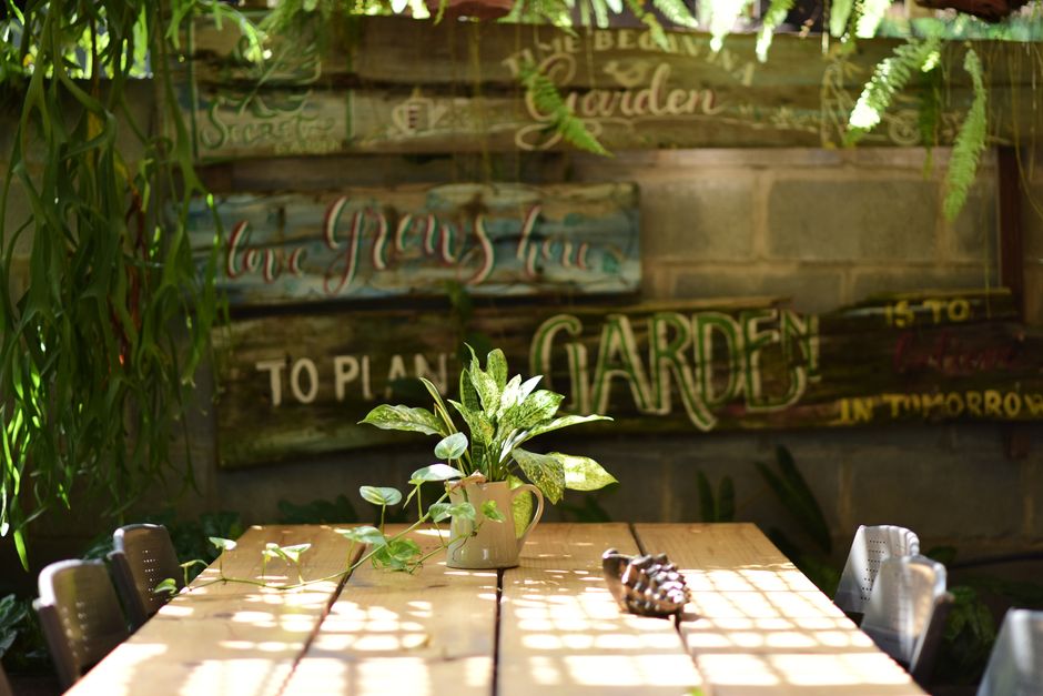 Cozy indoor garden scene with wooden table, plants, and artistic signs illuminated by sunlight.
