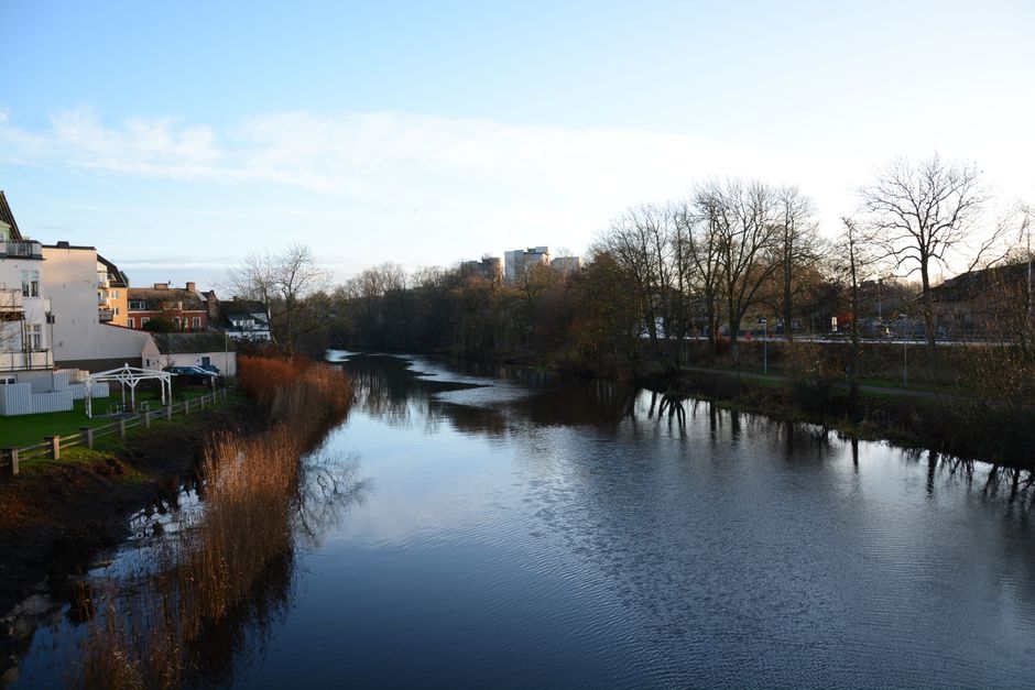 A tranquil river flows through a city with bare winter trees and morning light.