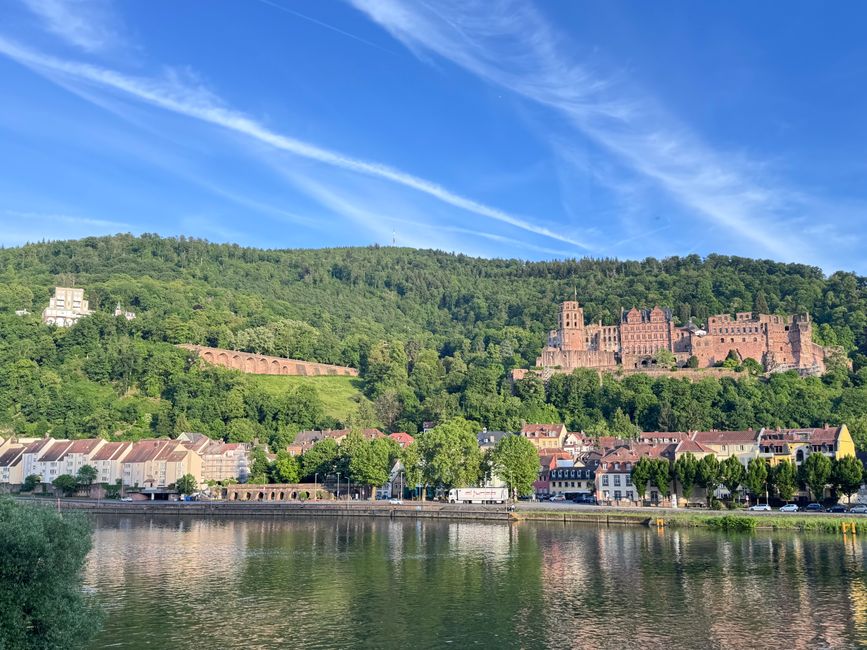 Captivating view of Heidelberg Castle overlooking the Neckar River with clear blue skies and lush greenery.
