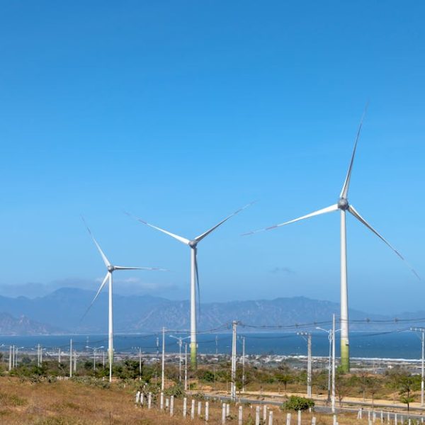 Why most Denver hotel deals are actually just traps for tourists Why most Denver hotel deals are actually just traps for tourists