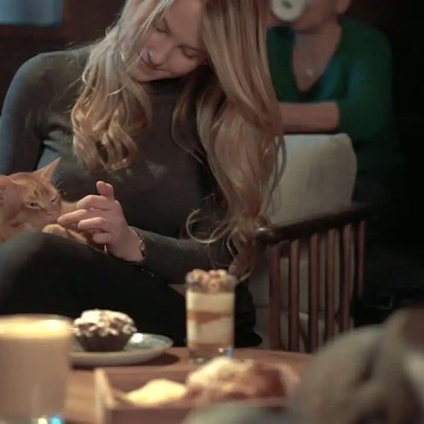 A London Cat Cafe Break Between Bigger Plans A London Cat Cafe Break Between Bigger Plans