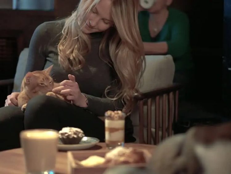 A London Cat Cafe Break Between Bigger Plans A London Cat Cafe Break Between Bigger Plans