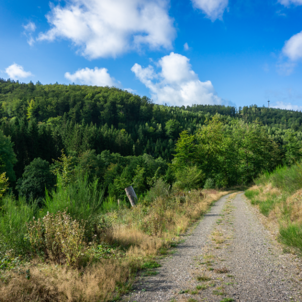 National Parks Road Trip With Young Kids: National Parks With Kids in 2026: Worth It or a ,000 Mistake? National Parks Road Trip With Young Kids: National Parks With Kids in 2026: Worth It or a ,000 Mistake?