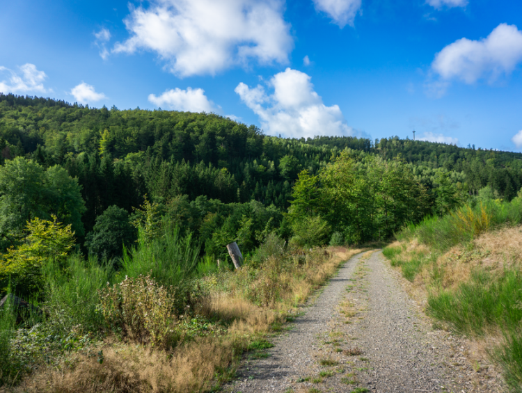 National Parks Road Trip With Young Kids: National Parks With Kids in 2026: Worth It or a ,000 Mistake? National Parks Road Trip With Young Kids: National Parks With Kids in 2026: Worth It or a ,000 Mistake?