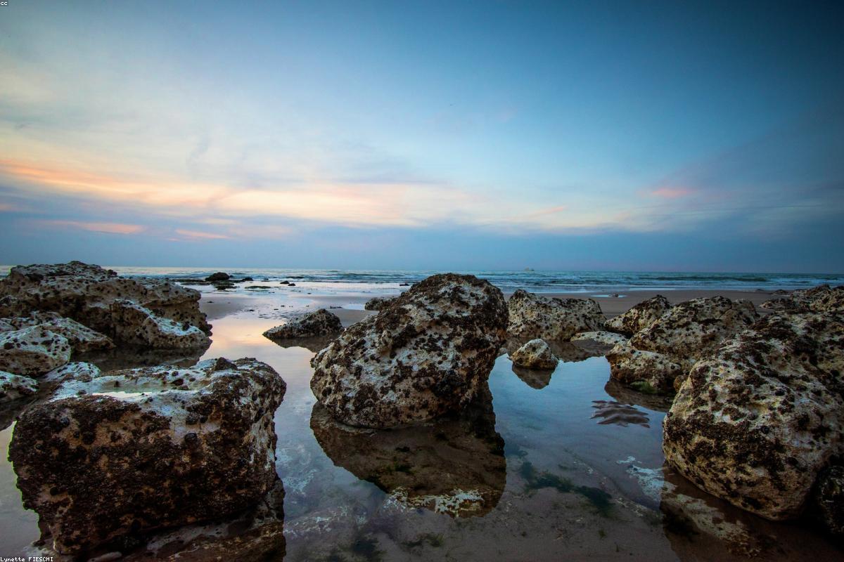 Early Spring in Normandy: Small Towns, Coast Roads, and Quiet Stops