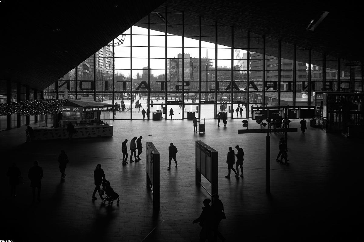 Rotterdam Architecture Weekend for Travelers Who Like Design