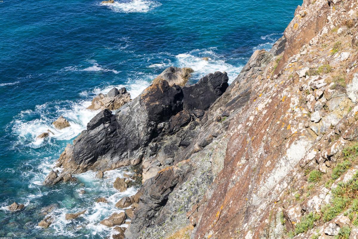 Belgian Coast by Tram: How to Build an Easy Day Trip