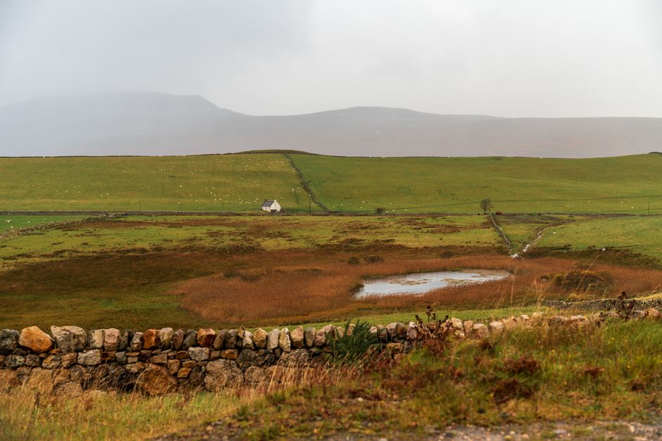 Stone wall and rolling fields in the Irish countryside