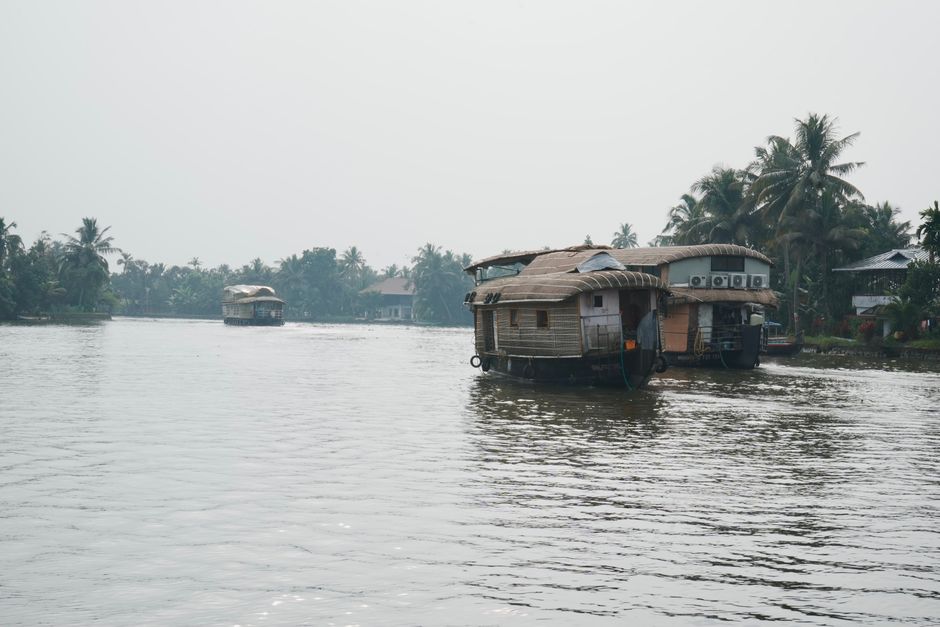 Peaceful view of traditional houseboats on a river surrounded by lush greenery and palm trees.