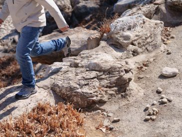 Waterproof Hiking Boots for Wet Climates: Merrell Moab 3 vs Salomon X Ultra 4