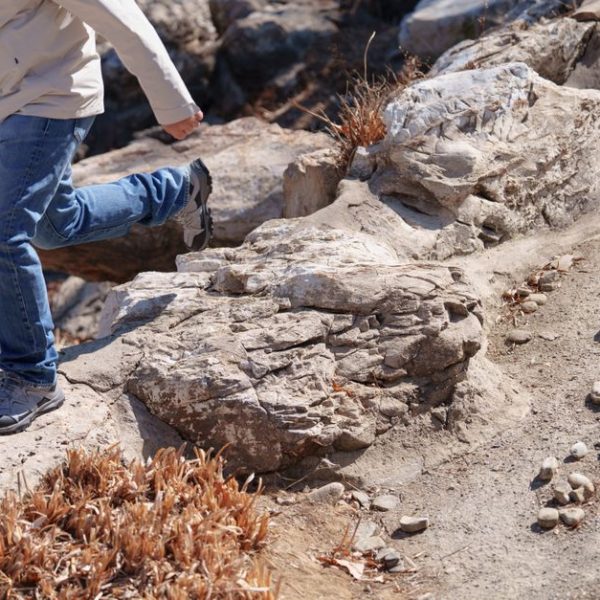 Waterproof Hiking Boots for Wet Climates: Merrell Moab 3 vs Salomon X Ultra 4 Waterproof Hiking Boots for Wet Climates: Merrell Moab 3 vs Salomon X Ultra 4